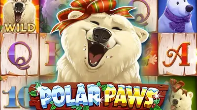 polarpaws1